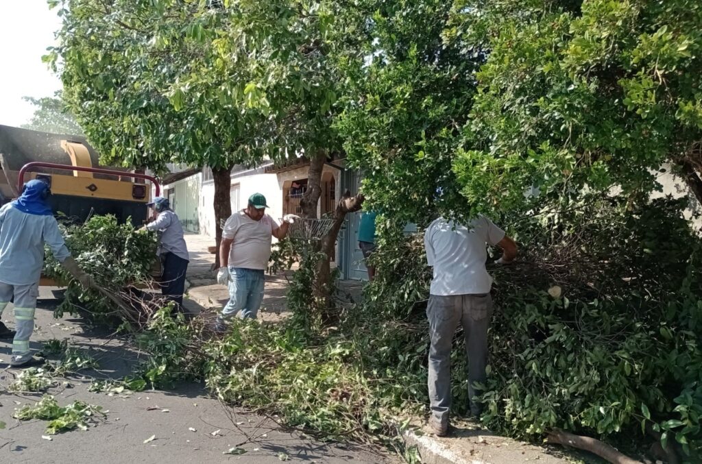 Whatsapp image 2025 09 08 at 11.16.18