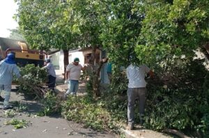 Whatsapp image 2025 09 08 at 11.16.18