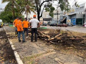 Whatsapp image 2025 09 23 at 14.46.22