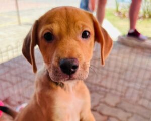 Whatsapp image 2025 10 07 at 15.20.17