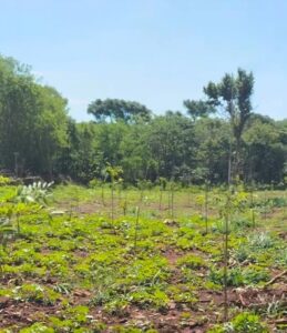 Whatsapp image 2025 11 11 at 13.53.16