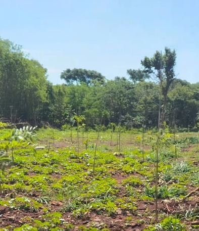 Whatsapp image 2025 11 11 at 13.53.16