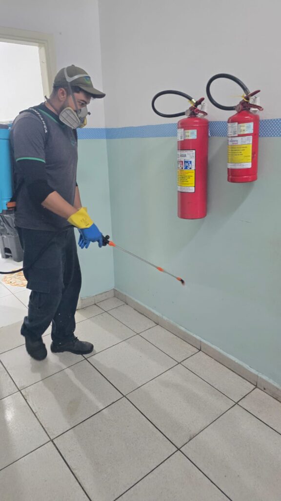 Whatsapp image 2026 01 26 at 11.18.48